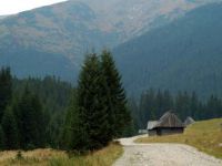 Każda wędrówka ma swój początek - utulona w porannych mgłach Polana Chochołowska.